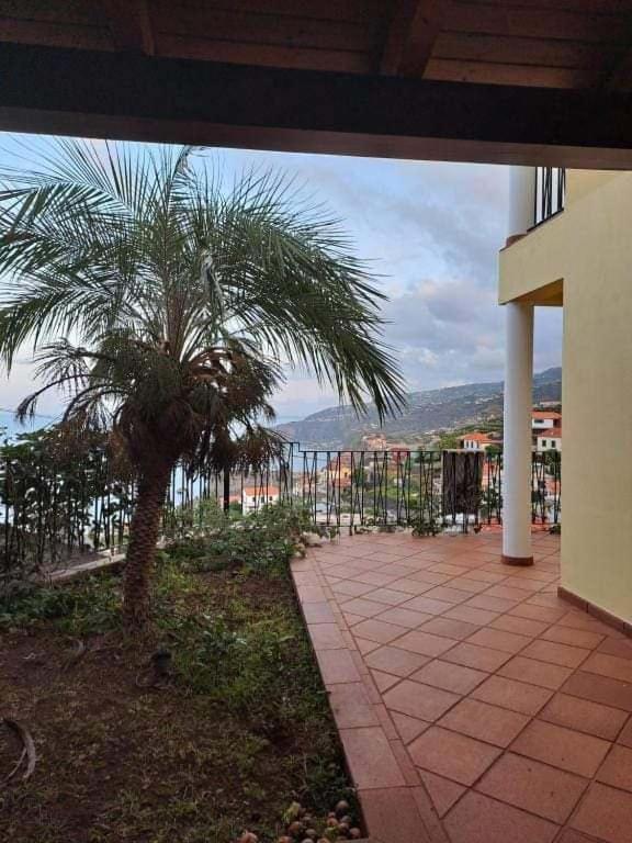 Sea View House Daire Ribeira Brava Dış mekan fotoğraf